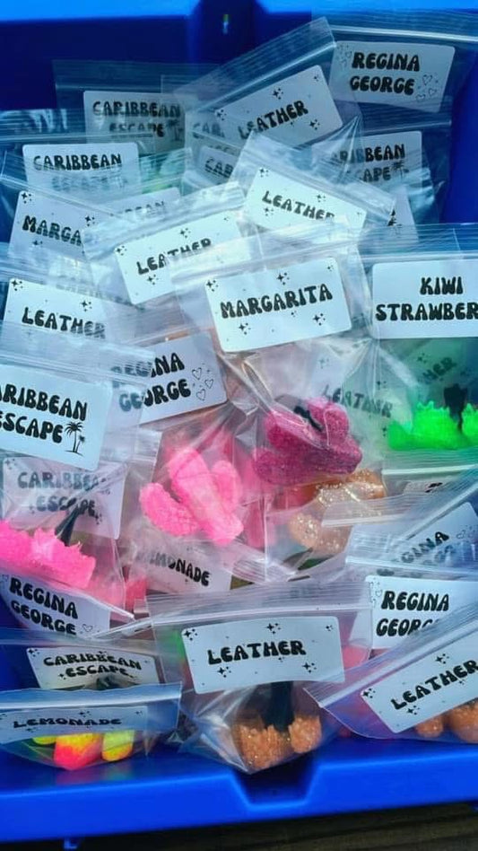 Cactus vent clips WS