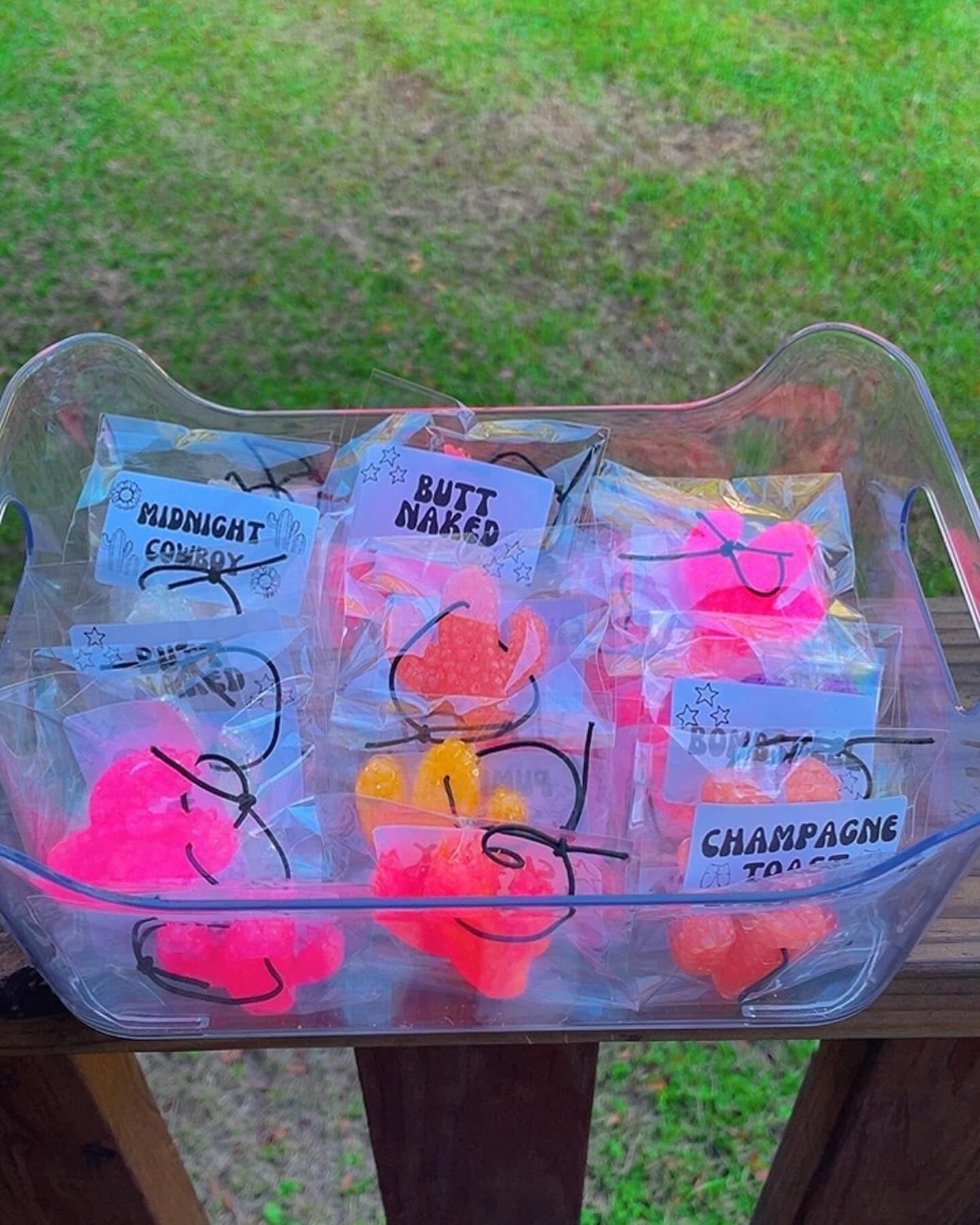 $1 cactus mini freshies